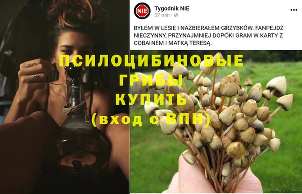 мяу мяу кристалл Магас