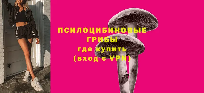 Галлюциногенные грибы Cubensis  Вышний Волочёк 