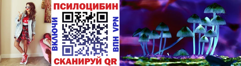 Псилоцибиновые грибы MAGIC MUSHROOMS  дарнет шоп  сайты даркнета формула  Вышний Волочёк 