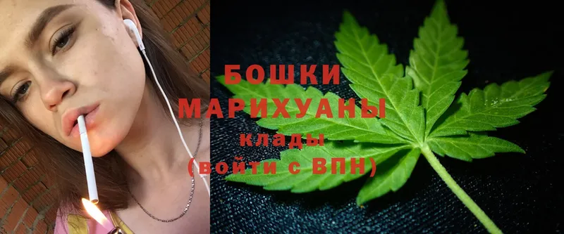 Марихуана White Widow  мориарти телеграм  Вышний Волочёк 